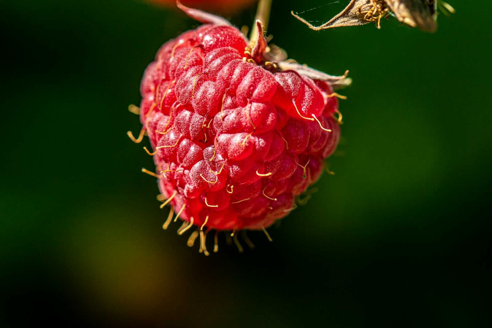 π πΎ How to Turn a Raspberry Pi 4 into a NAS with Raspberry Pi OS & Samba