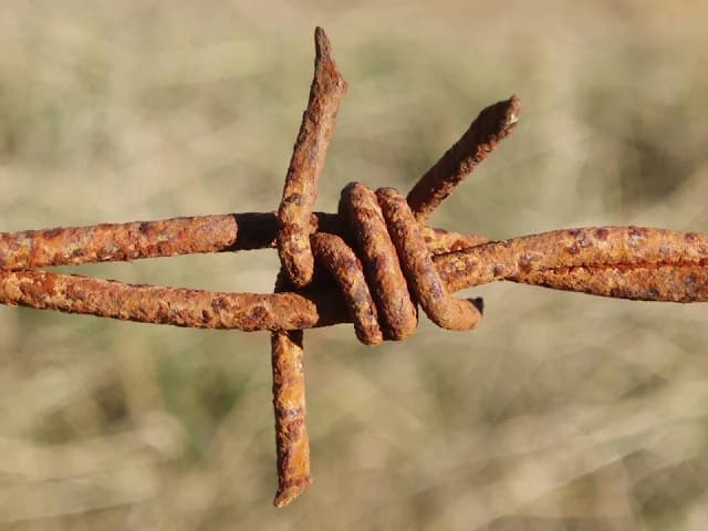 🖭 The “Prestik, Scotch Tape, and Barbed Wire” Data Centre | A Cautionary Tale 🗑️
