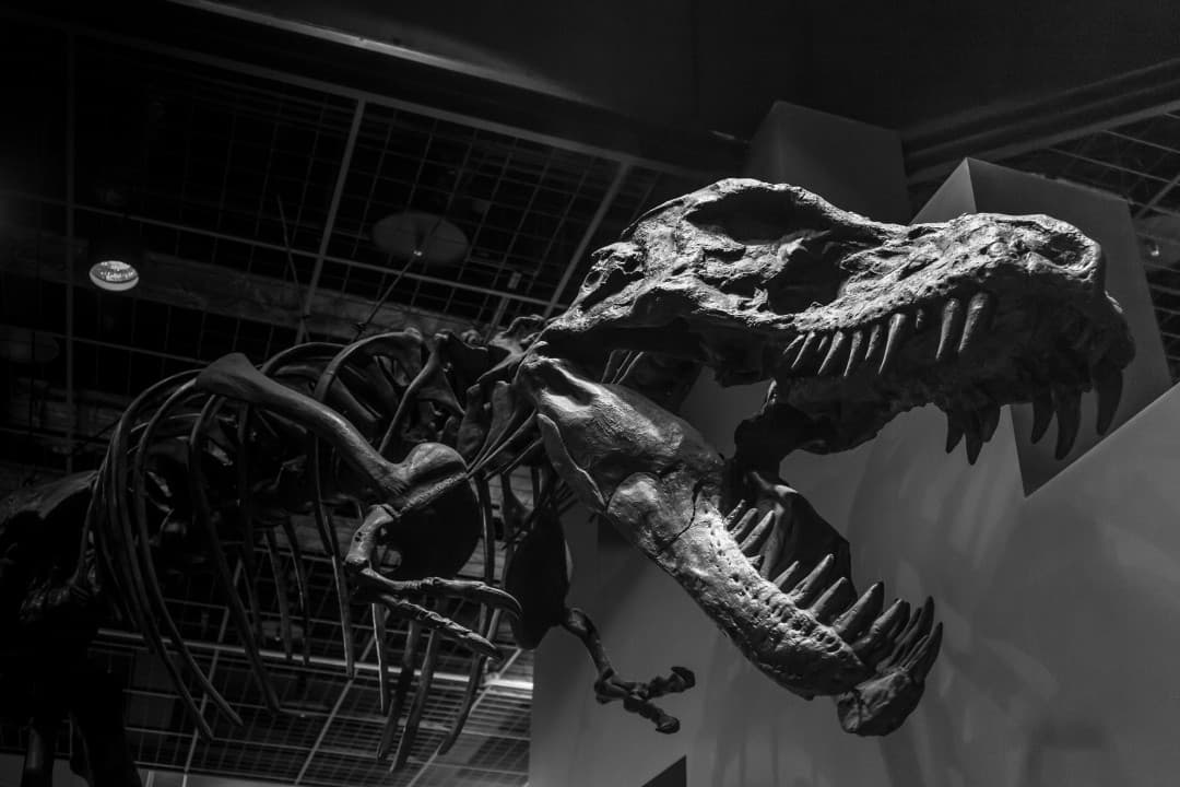 🦕The Extinction Level Event | Legacy Networking Kit Faces Its Demise 💫