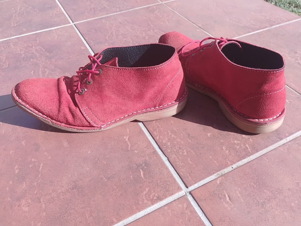 馃憻The Cobbler's Children Syndrome | Redefining Last-Mile Connectivity Resilience鈴笍