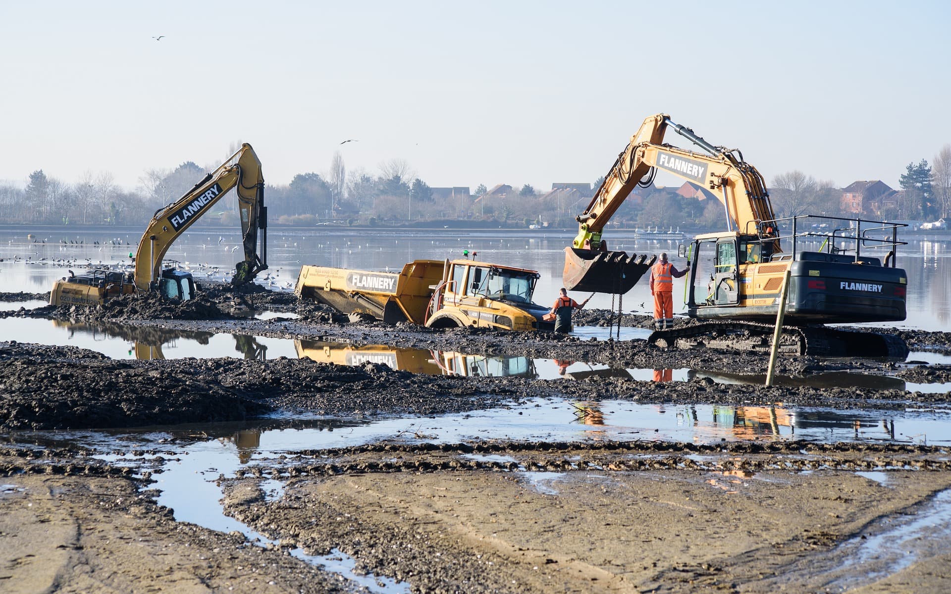 馃殰Testing Local DNS with dig, dnstop, & tcpdump on a SD-WAN edge | A Comprehensive Guide馃懛馃徑