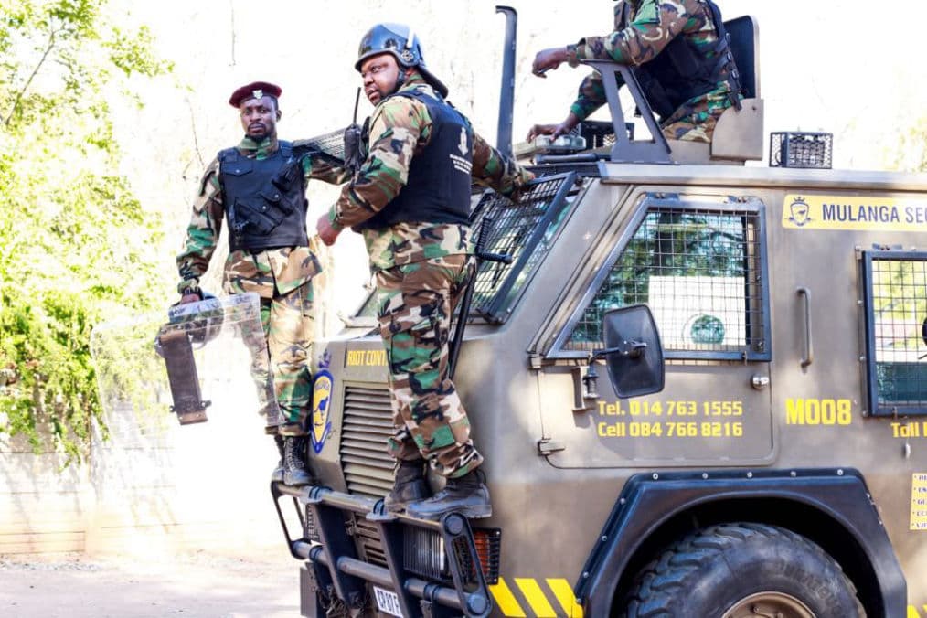 🦏Nepean Network’s SD-WAN | The Backbone of Connectivity for Game Reserves & Lodges Around Lephalale 🇿🇦