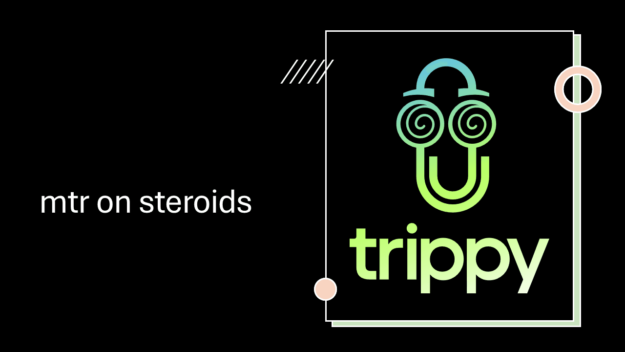 🛣️ Trippy – Next-Level Network Tracing for Power Users 💪