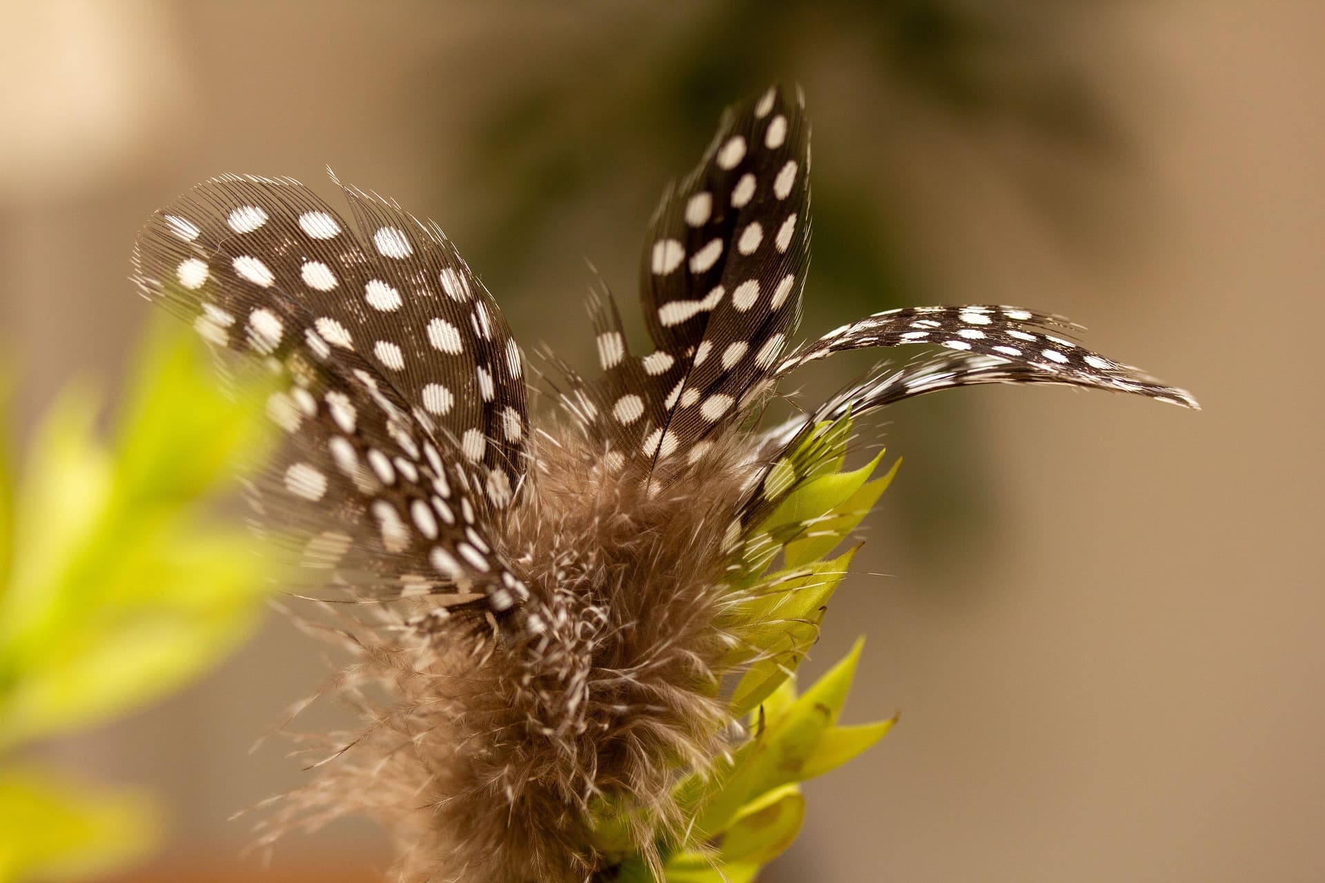 Engineering Solutions to Avoid Outages & Crisis Situations 🌐⚙️🛡️