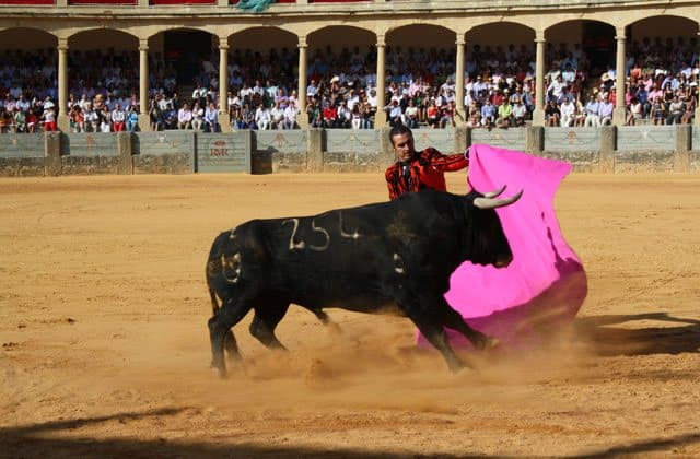 🛡️ Open Source Firewalls | The Future of Small Business Security